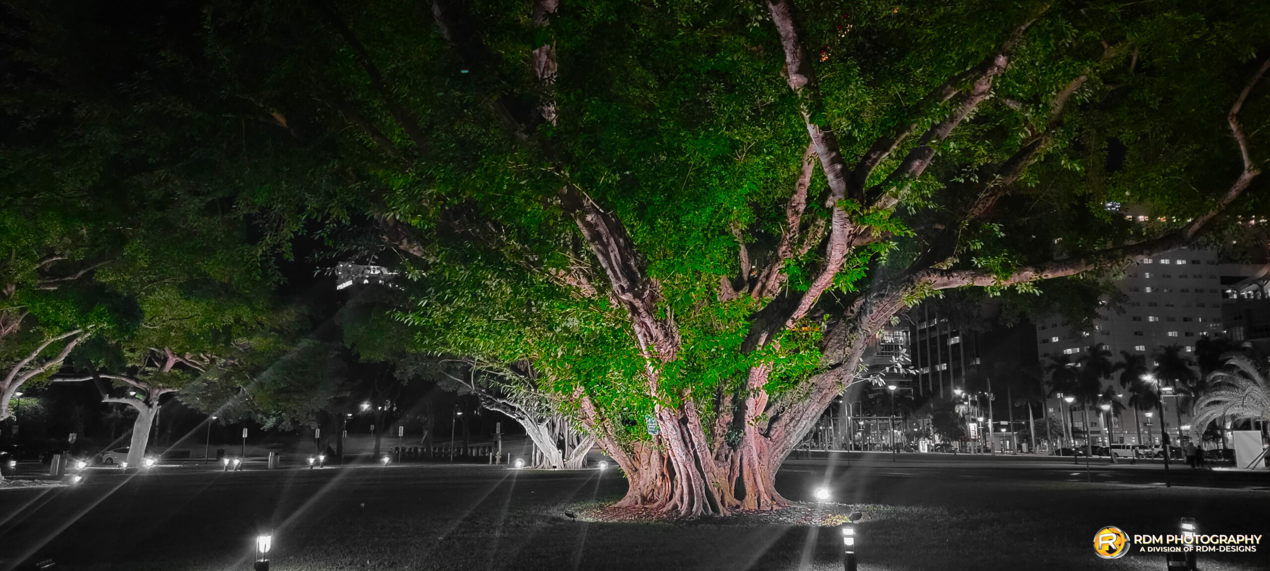 Miami — fine art landscape photography by RDM Designs